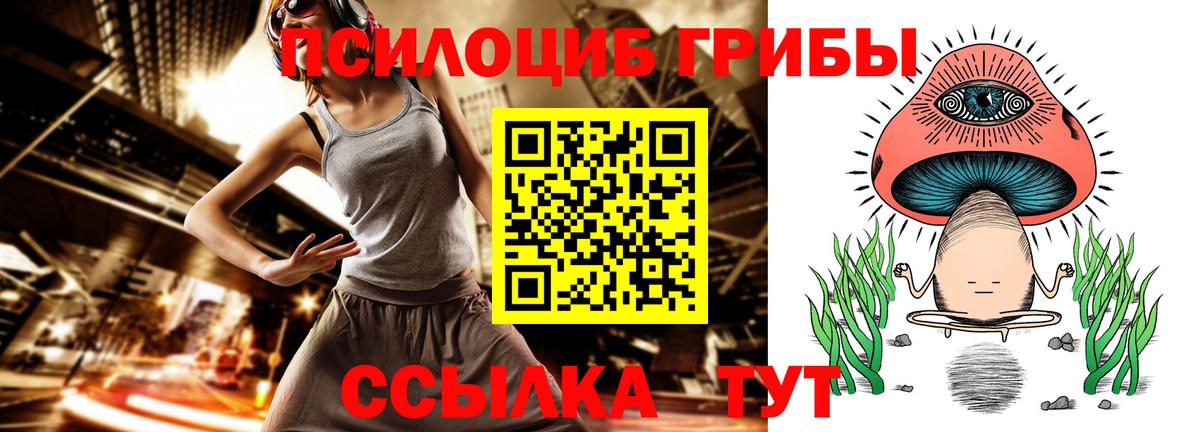 Псилоцибиновые грибы мухоморы Кисловодск